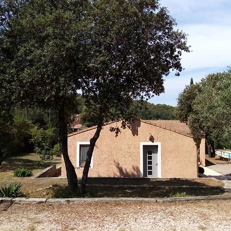 Comorebi Provence Entrecasteaux Exteriér fotografie