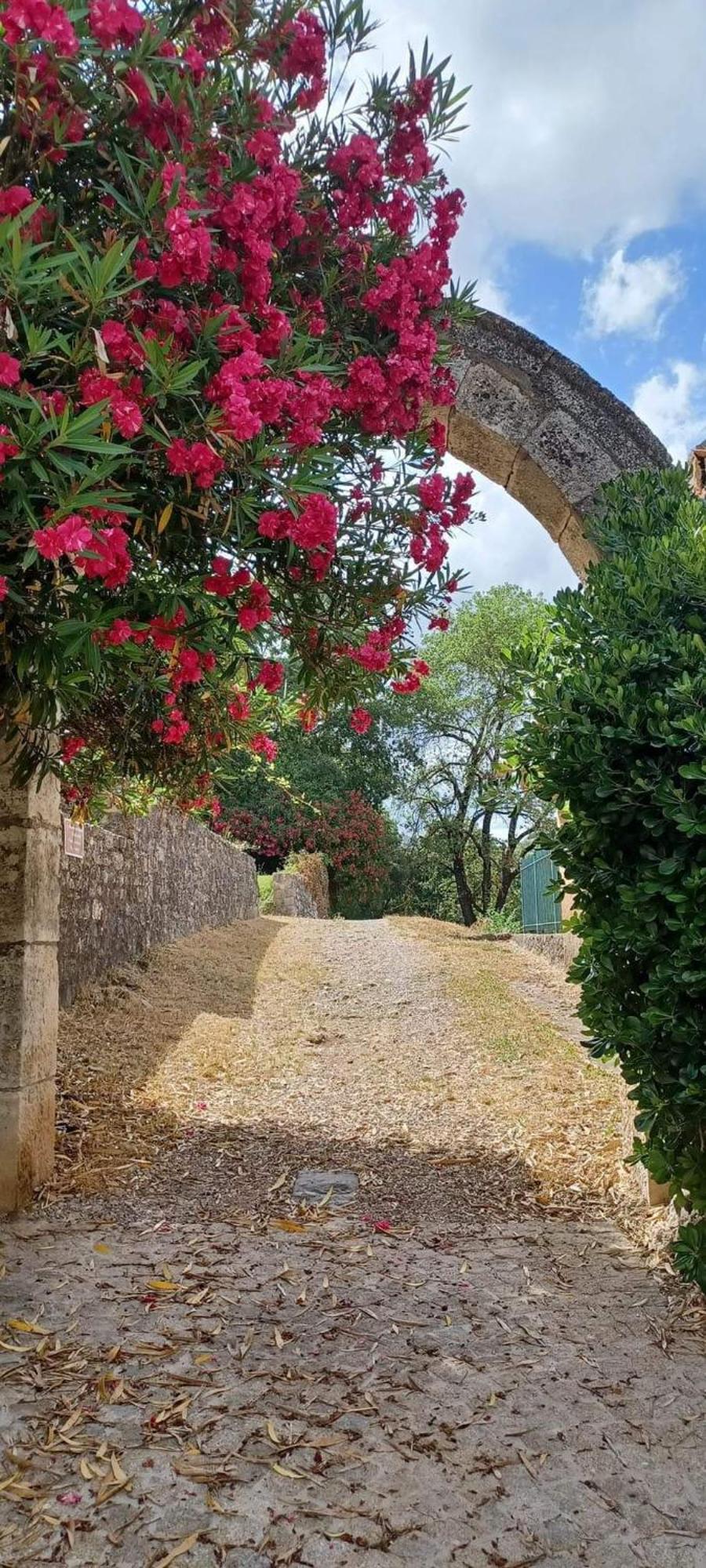 Comorebi Provence Entrecasteaux Exteriér fotografie